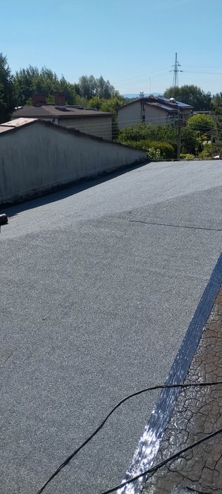 Papowanie -Naprawa dachów/remonty kominów/malowanie dachów/montaz  ryn