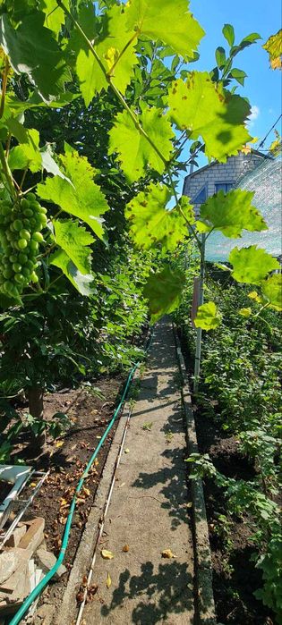 Садовий будинок у районі Цегельного Заводу