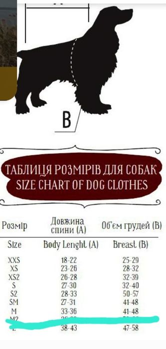 Дощовик для собаки