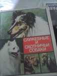 Коллекционный набор спичек