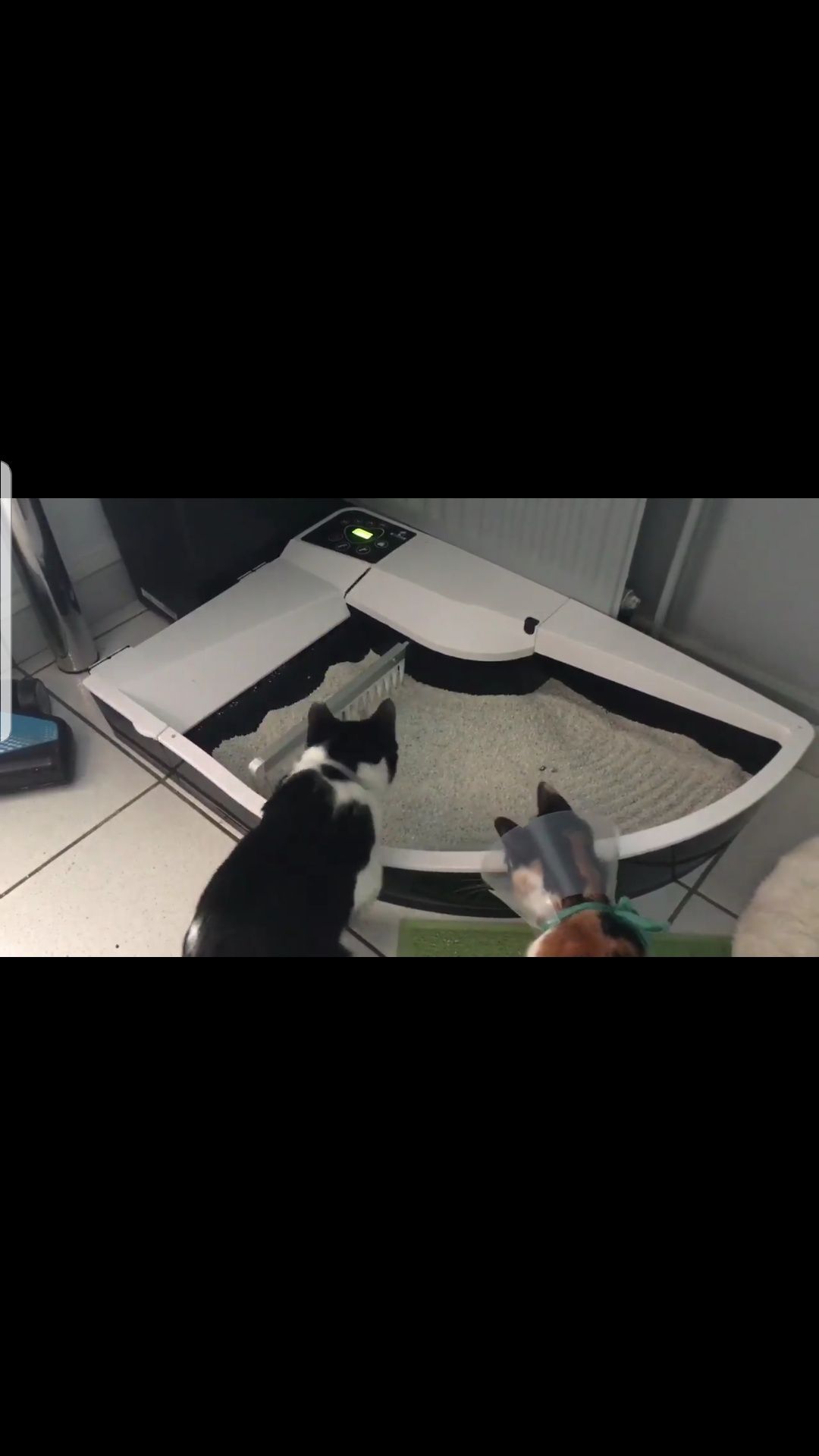 Powystawowa automatyczna kuweta dla kota Smartkitty z funkcją Wi-Fi