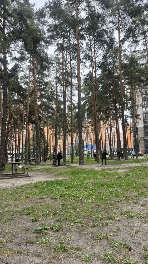 Квартира найнижча ціна- район Центрального парку