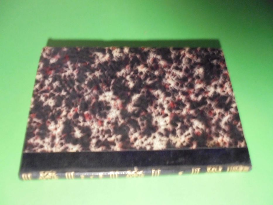 Voitoron (Paulo);Victor Hugo-Os Miseráveis-Estudos Philosophicos