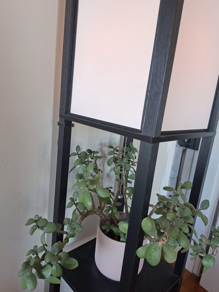 Luz de sala com prateleiras