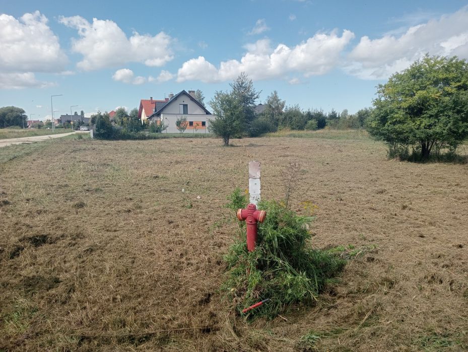 Uslugi ogrodnicze,glebogryzarka,zakładanie trawników