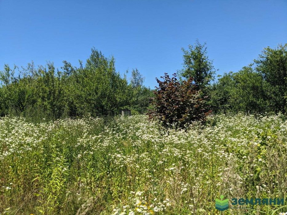 Продається дача с Черніїв (1)