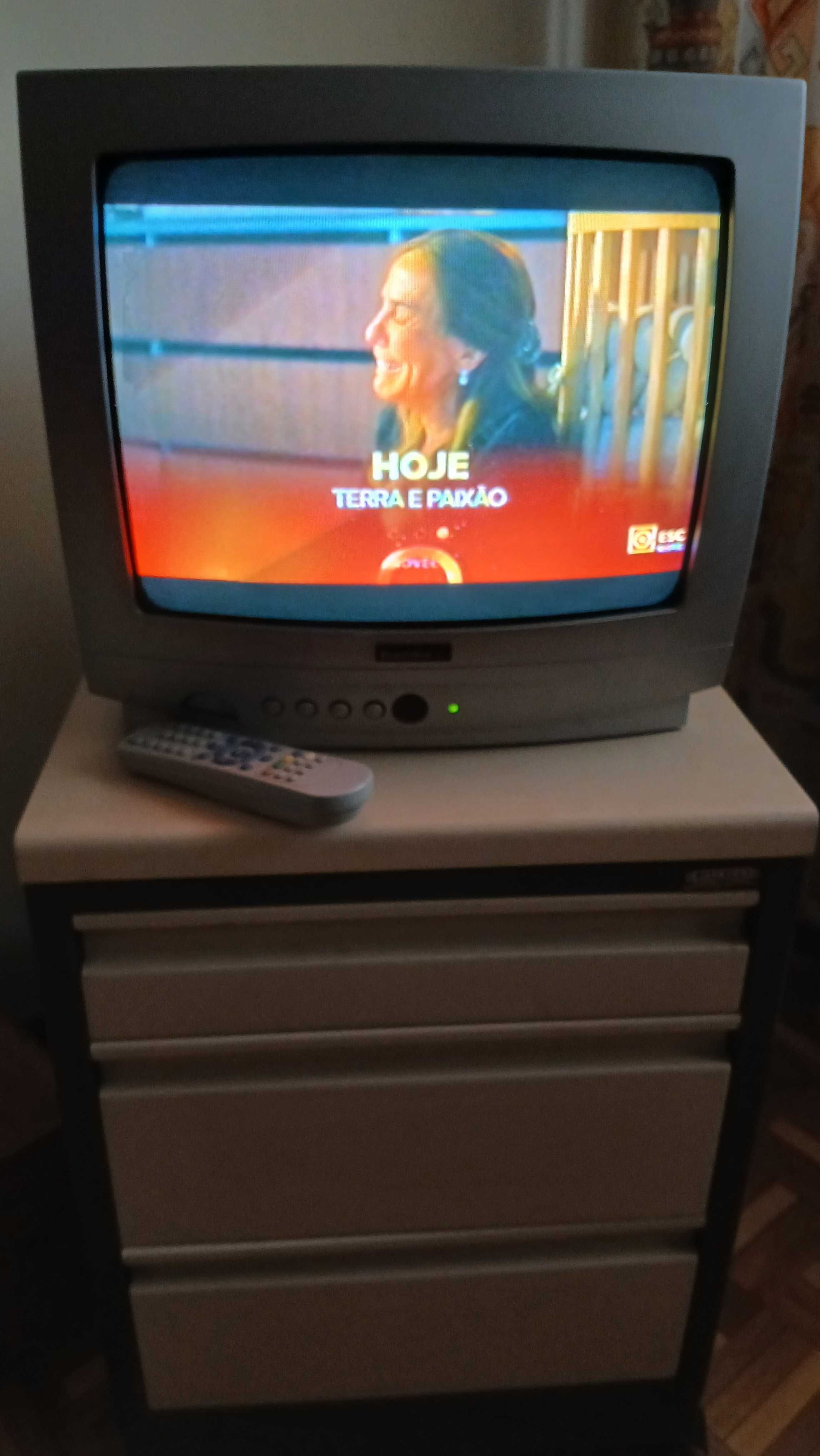Televisão de 30 cm