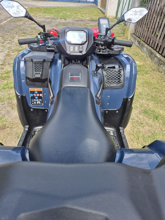 Kawasaki Brute Force 750