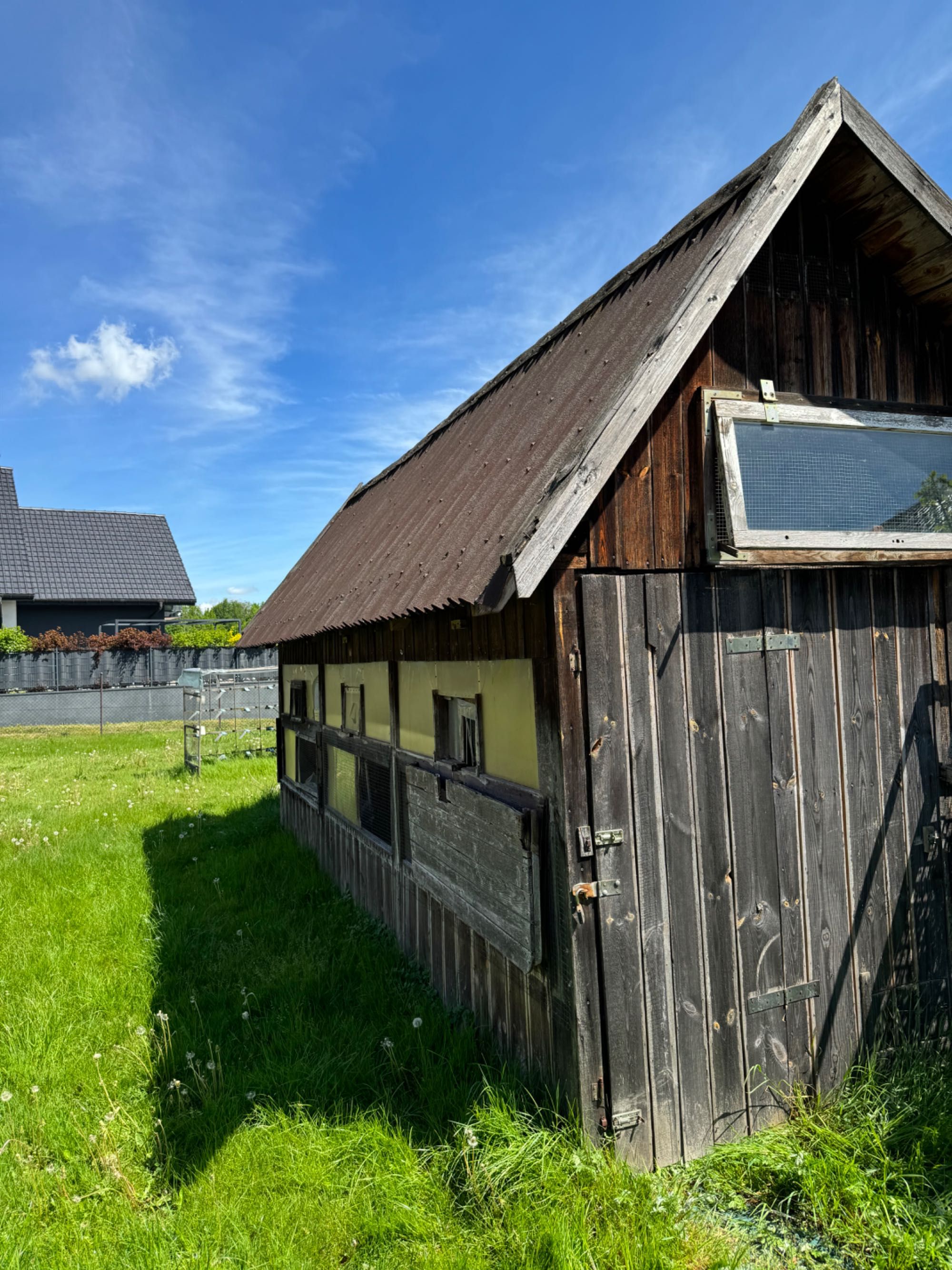 Gołębnik dla młodych gołębi