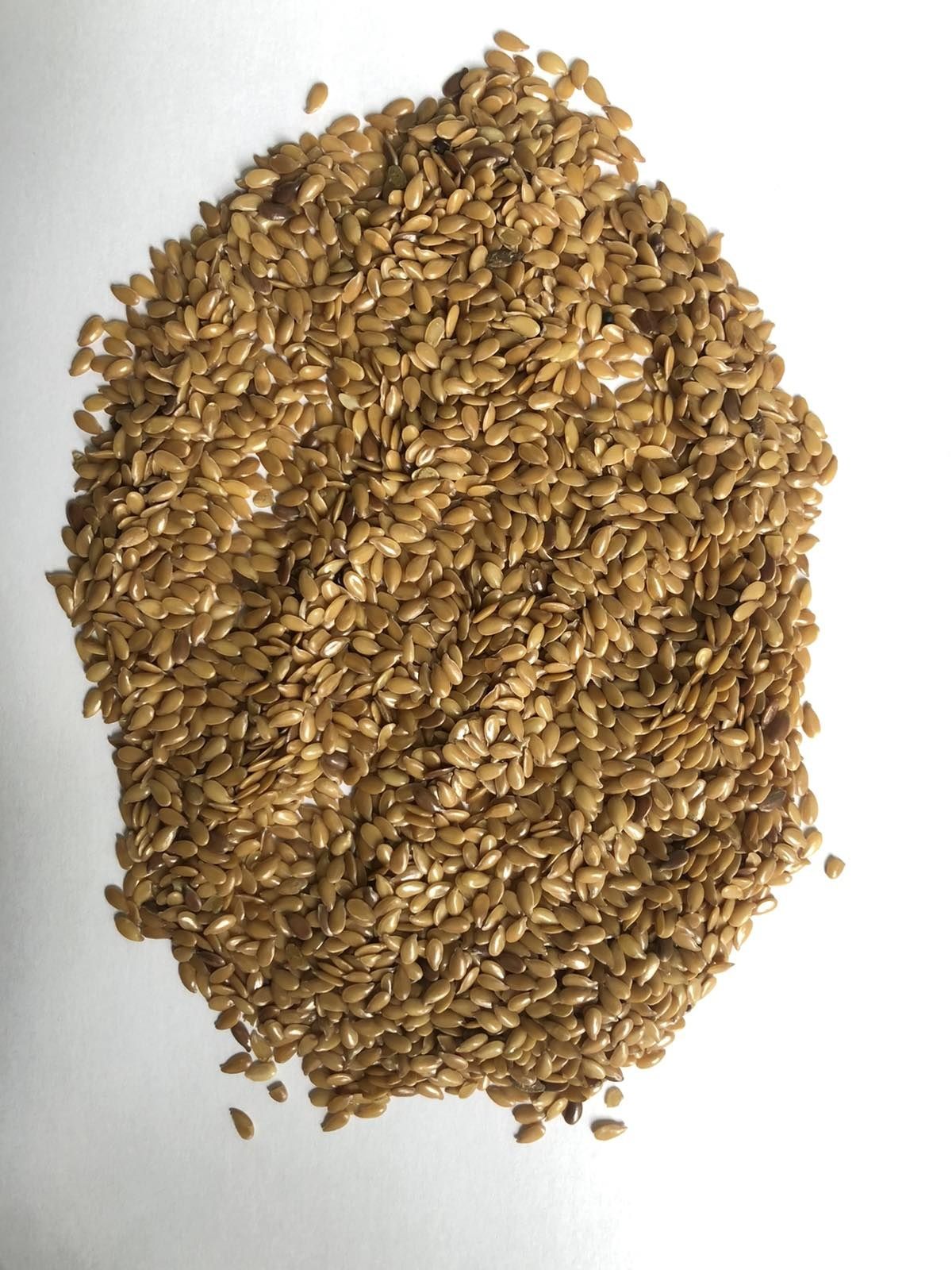 Лён золотой 99,5% чистота насіння льону