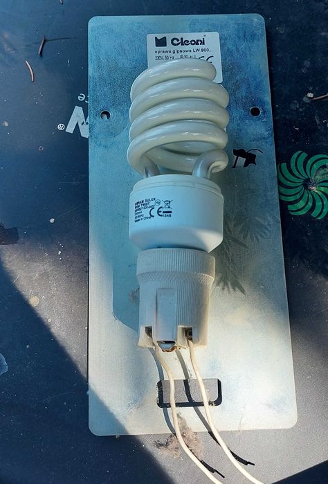 Plafon gipspwy CLEONI