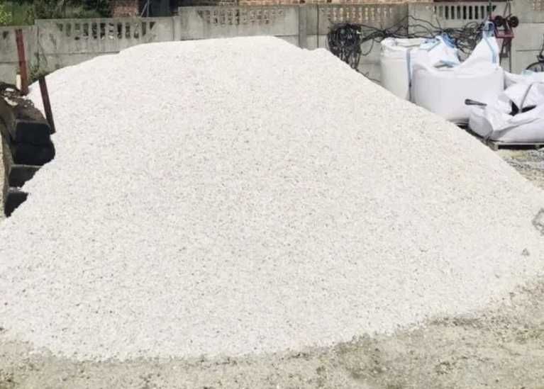 Grys Biała Marianna I Gatunek Akwarium Ogród Opaska Podjazd