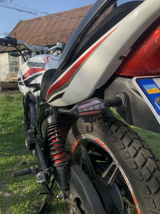 Мустанг Регион 200 | Musstang Region 200