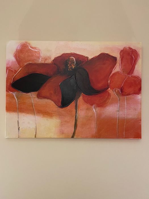 Várias telas para decoração