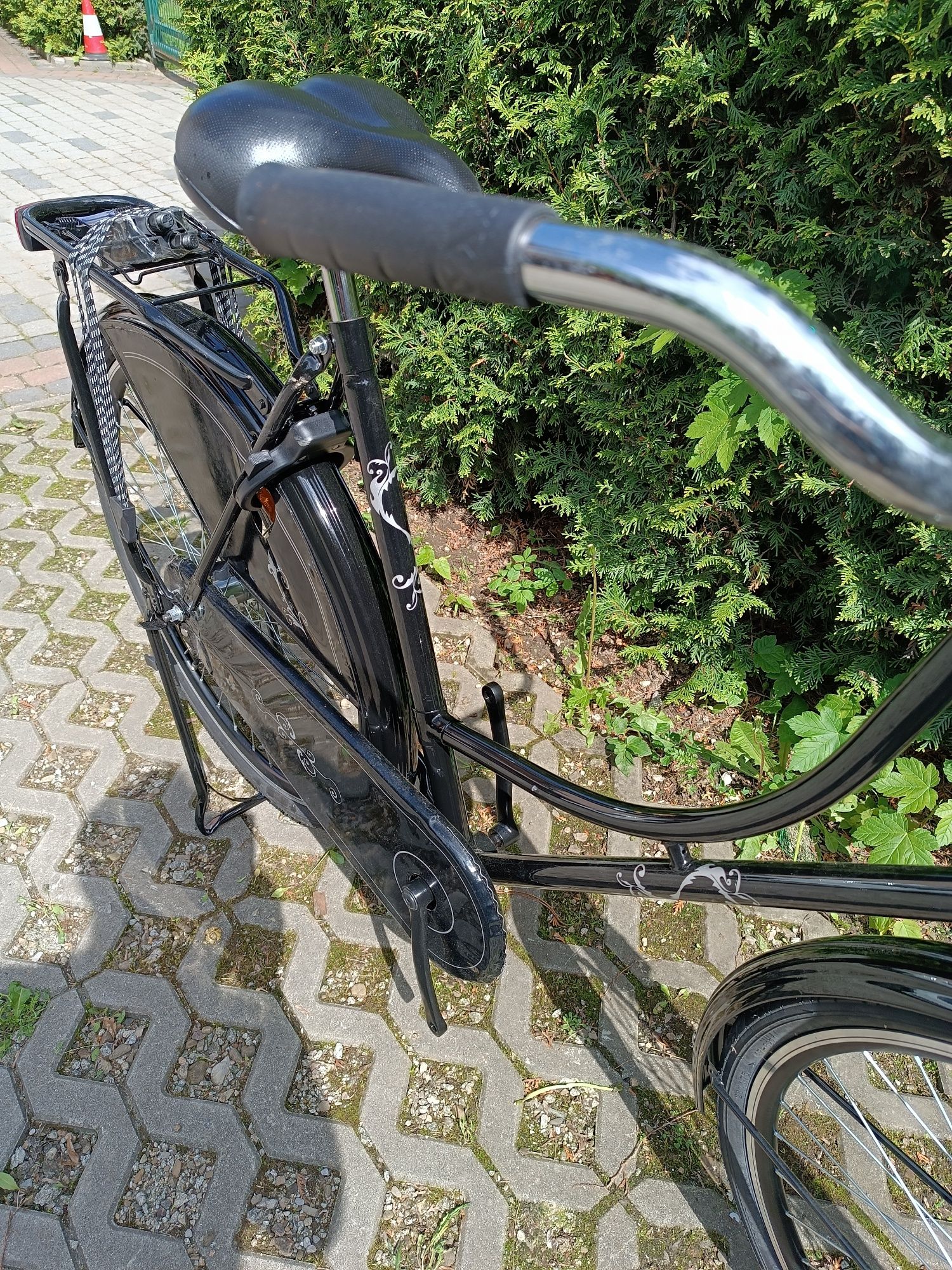 Nowa śliczna holenderka Van Cranenbroek