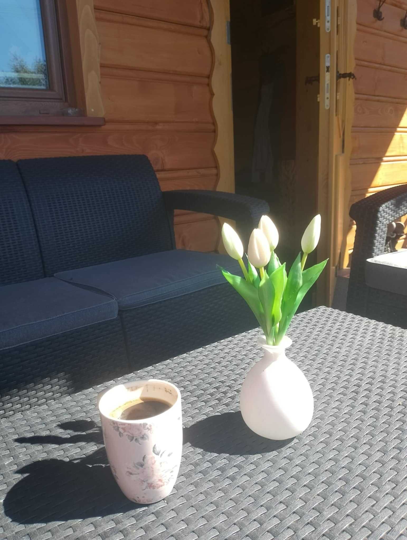 Domek w dolinie ciszy, wakacje, odpoczynek, góry