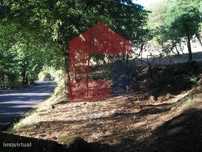 Terreno Florestal em Covas