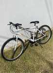 bicicleta órbita