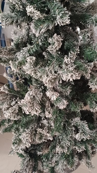 Árvore de Natal  nova