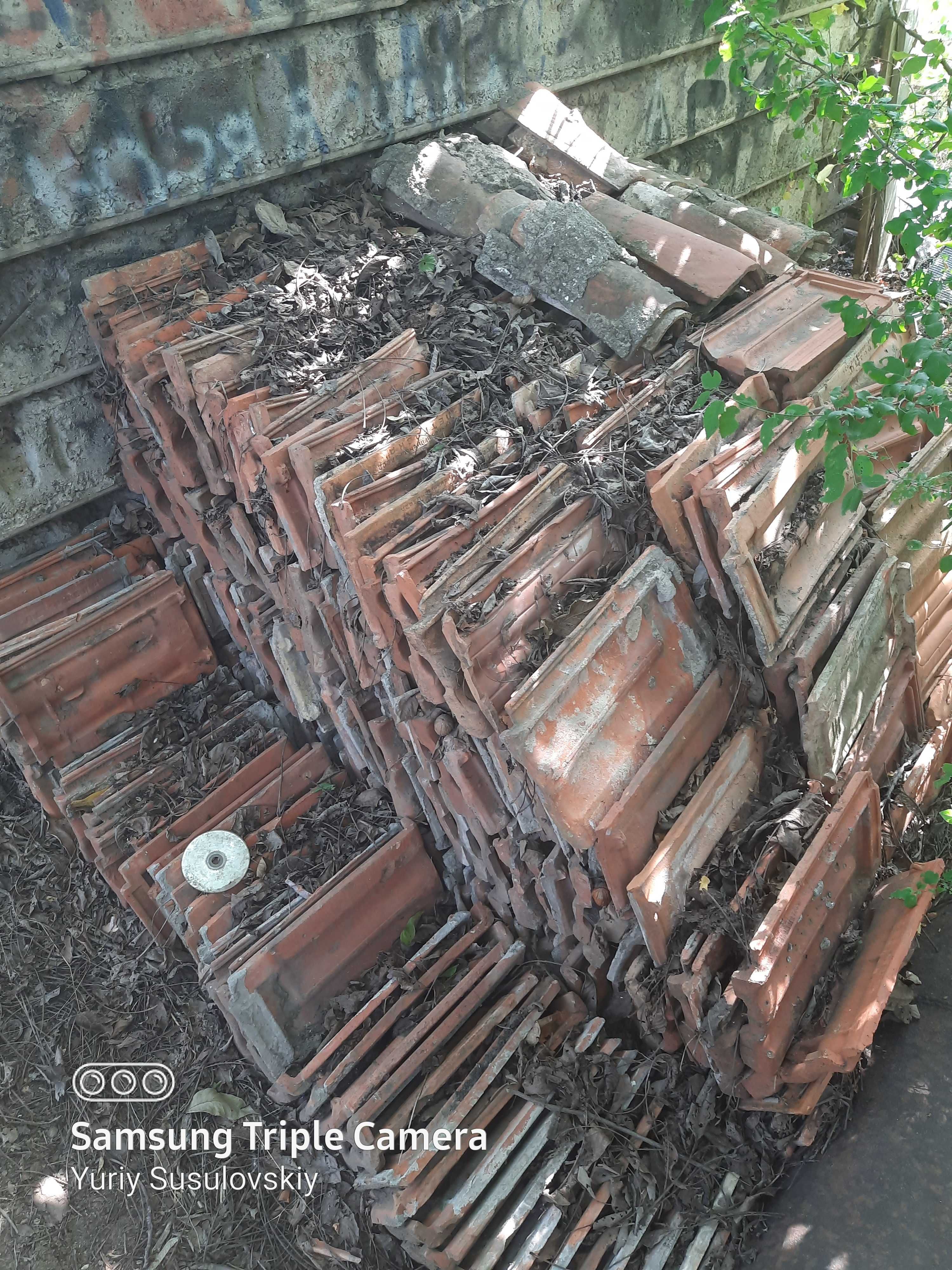Бут дикарь, черепиця, черепица