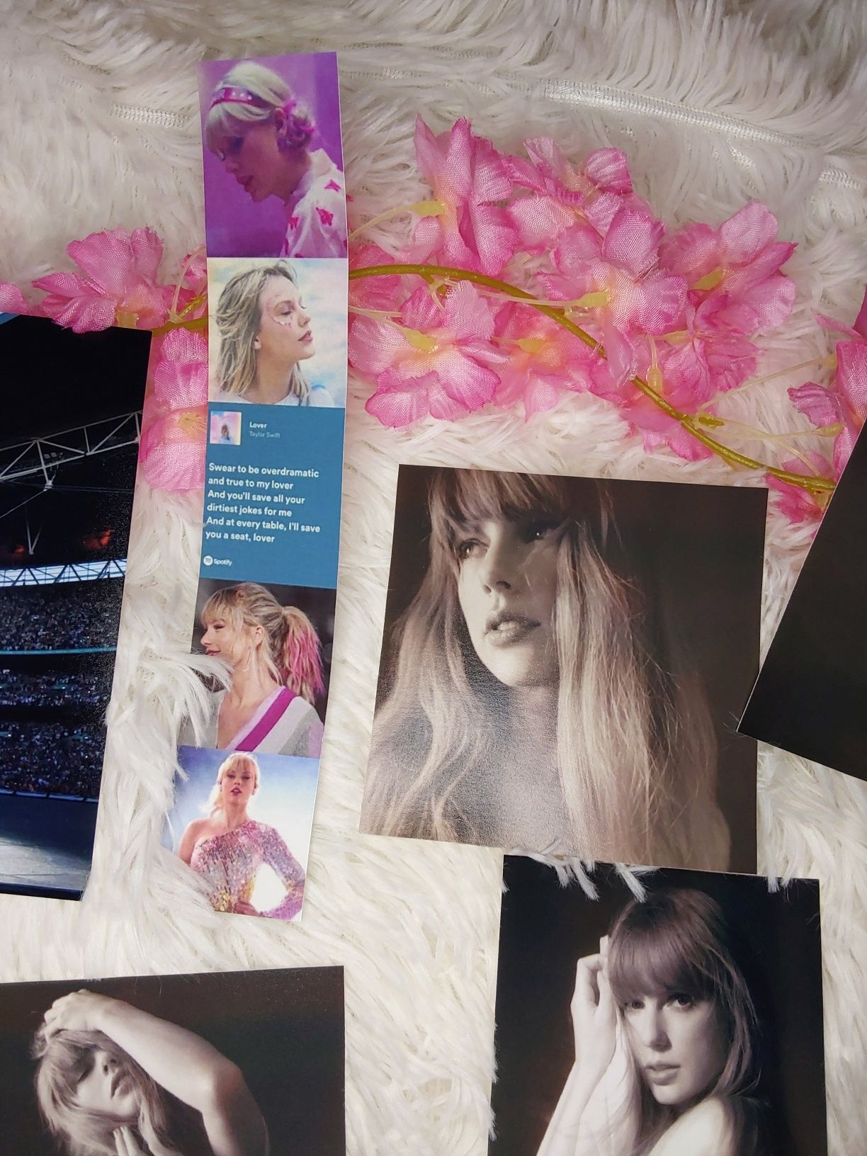 Taylor Swift Polaroids