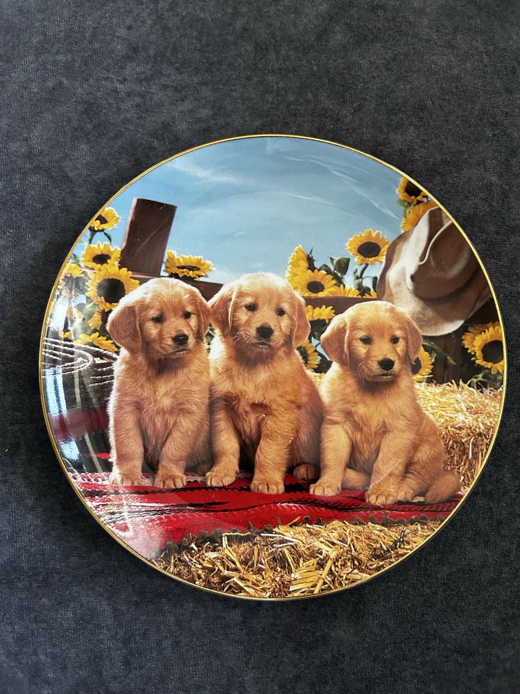 Kolekcjonerski porcelanowy talerz Franklin Mint