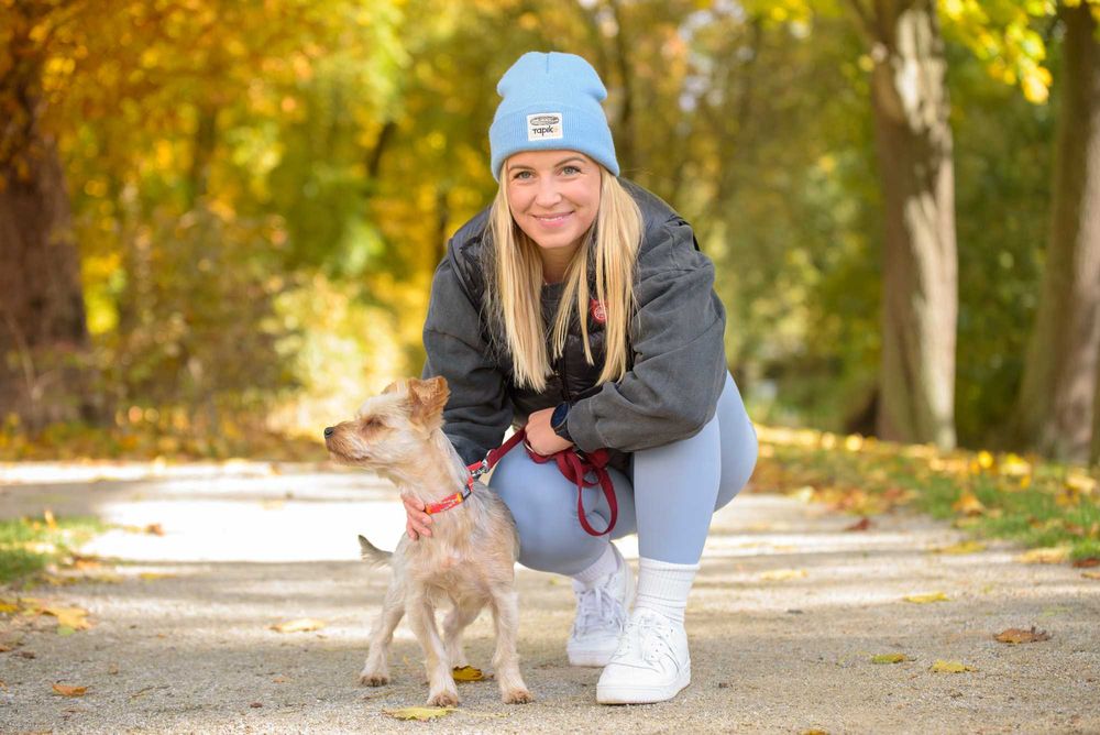Śliczny malutki piesek w typie york, yorkshire terrier - do adopcji