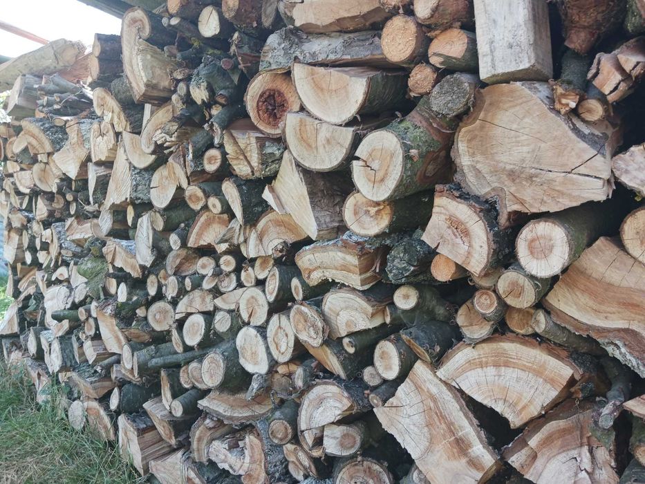 Drewno kominkowe i opałowe suche