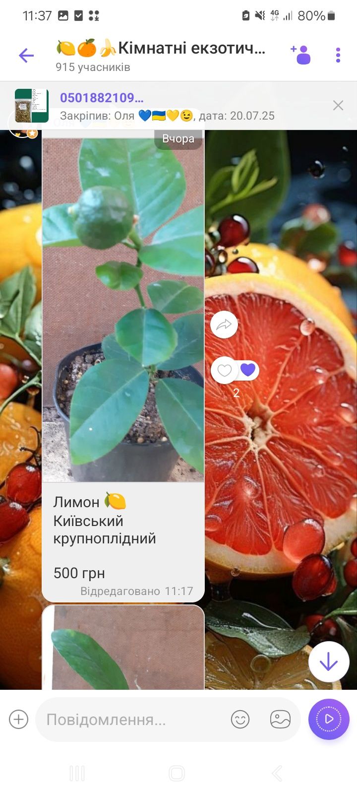 Лимони різних сортів ( кімнатні)
