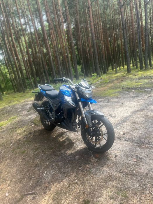 Senke leopard KS 250