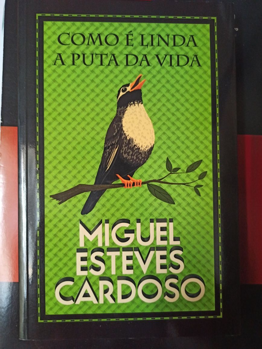 Miguel Esteves Cardoso - Como é linda a puta da vida