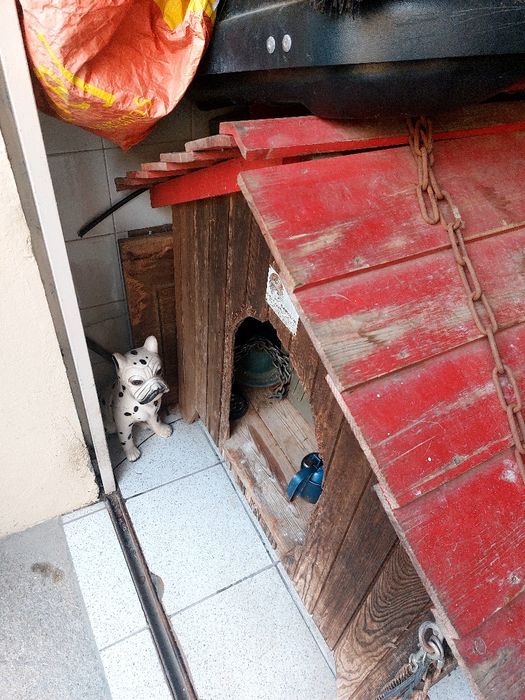 Casota para cão grande com corrente.
