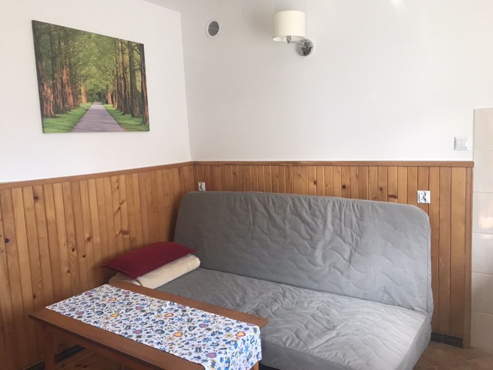 Apartament (BONY) w domku letniskowym Brzozowa 5