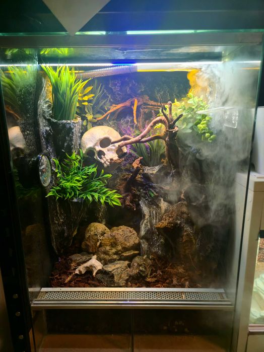 Terraria na wymiar + renowacja