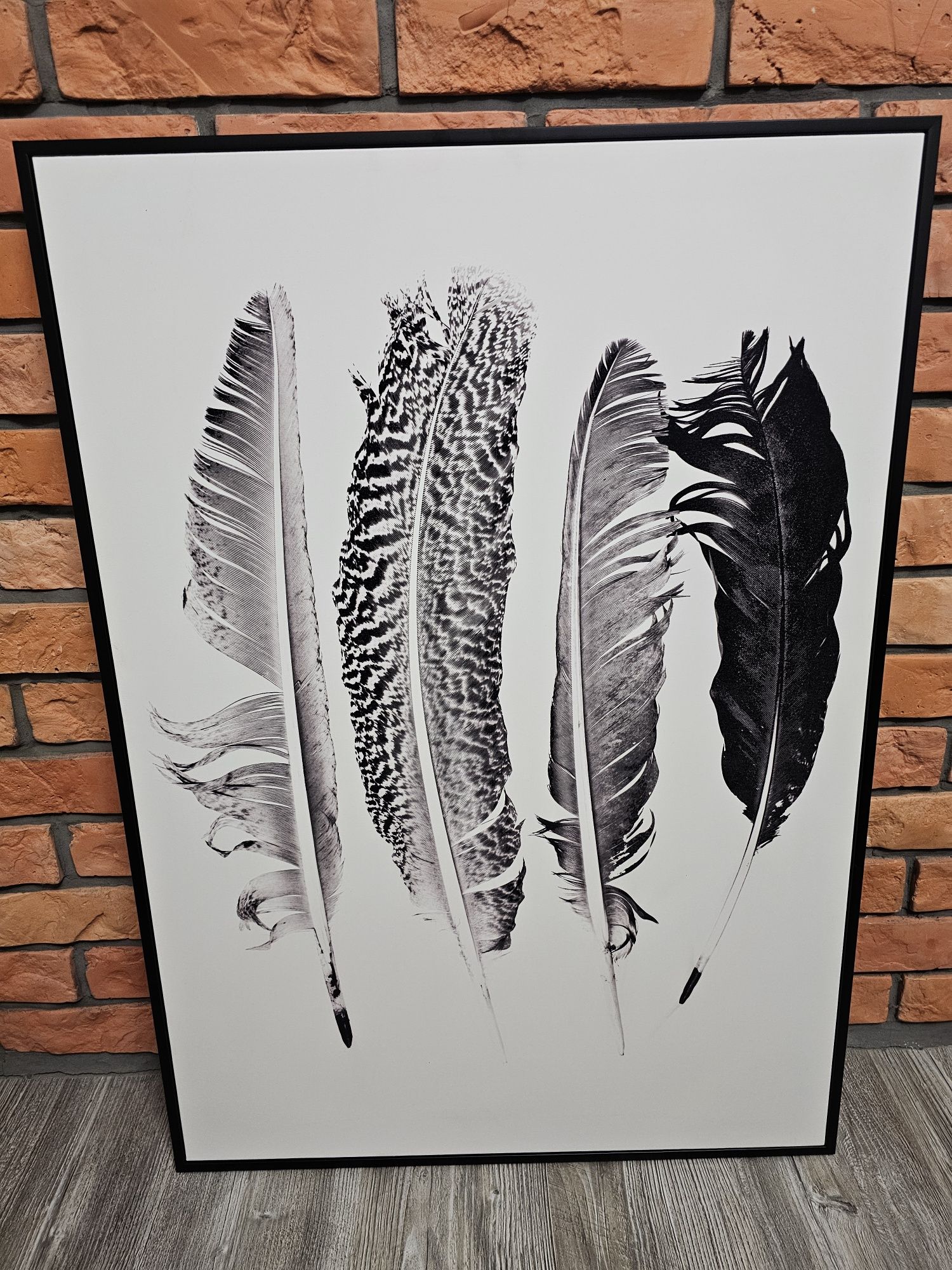 Dekoracja obraz pióra 67.5x95 cm