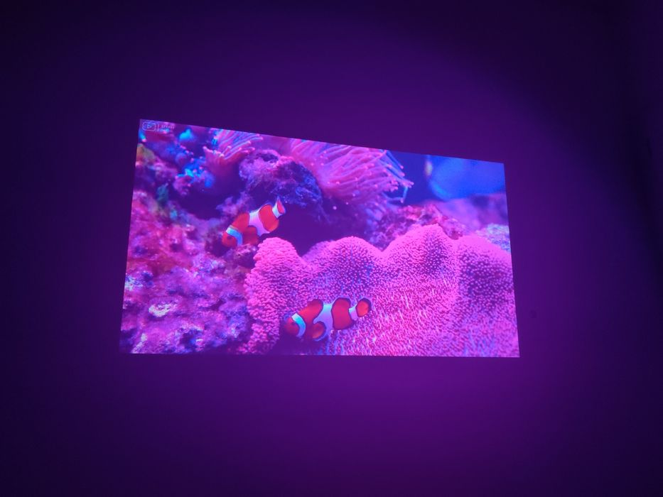 Projektor Optoma HD151x