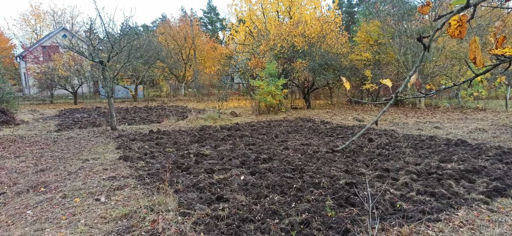 Косіня трави, газону, вирубка кущів, зачистка ділянок.