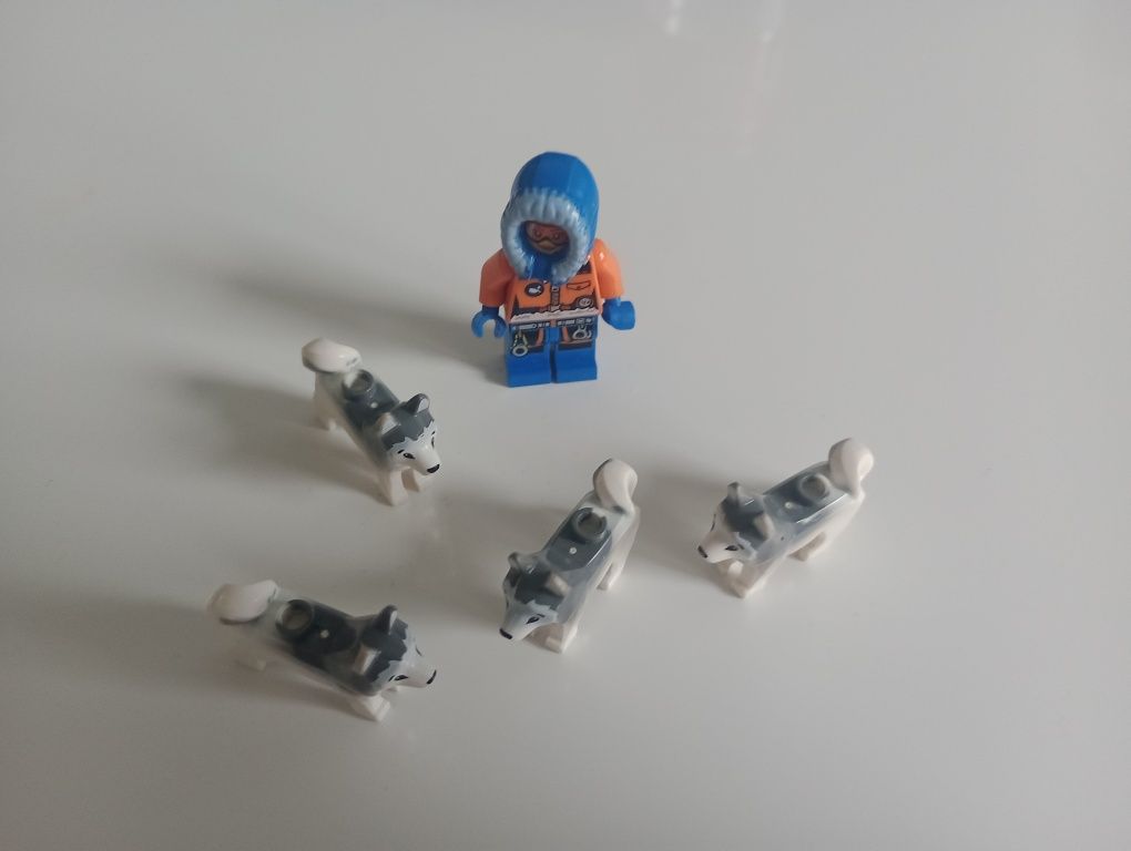 Klocki LEGO minifigurka Arctik Basen camp psy