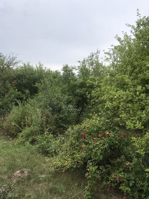 Продам участок в садовому товаристві