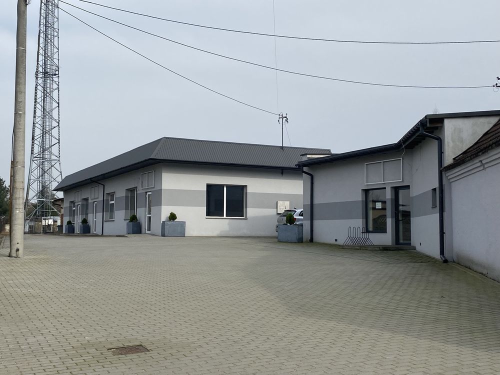 Lokal do wynajecia PANKI (60m2)