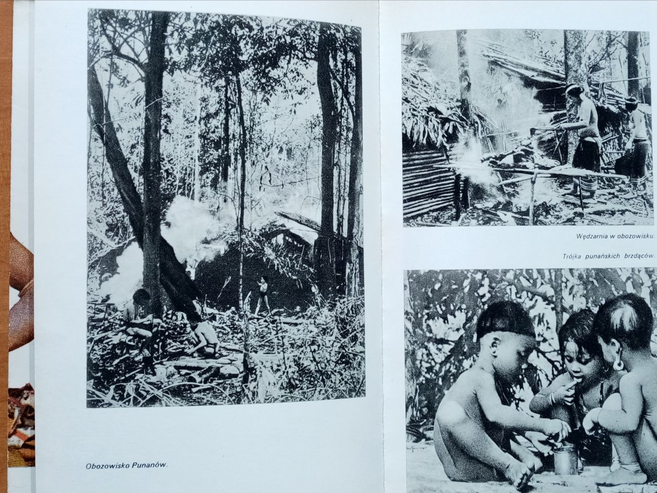 Biwak na Borneo - Pierre Pfeffer