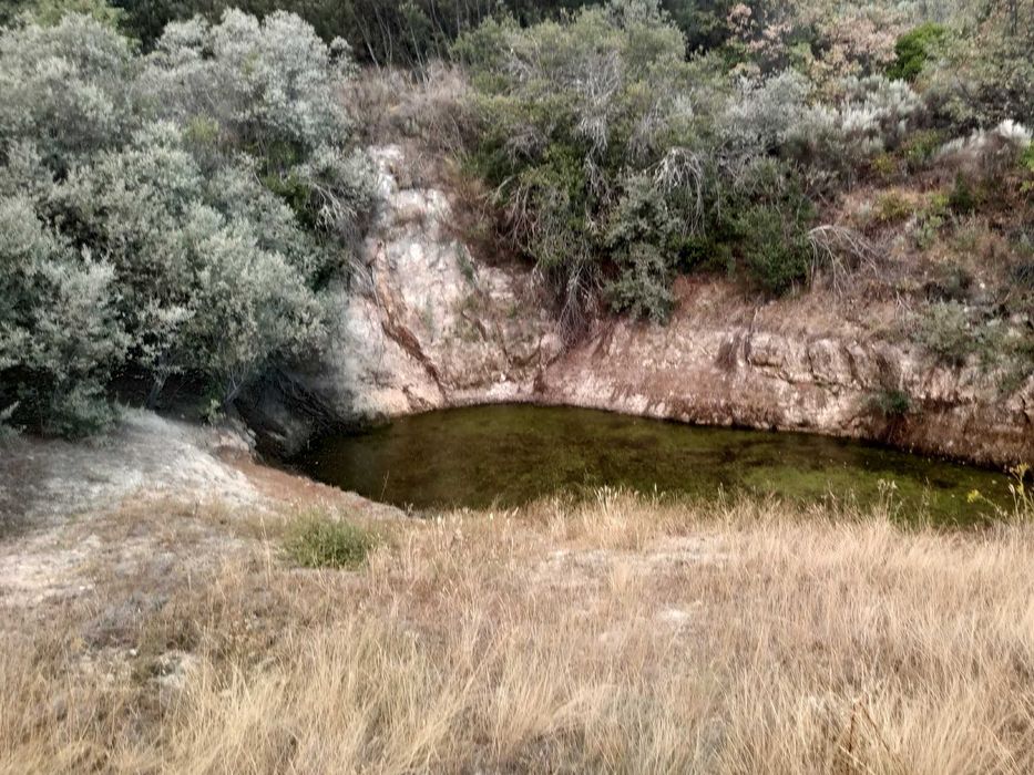 Terreno agrícola em activo.
