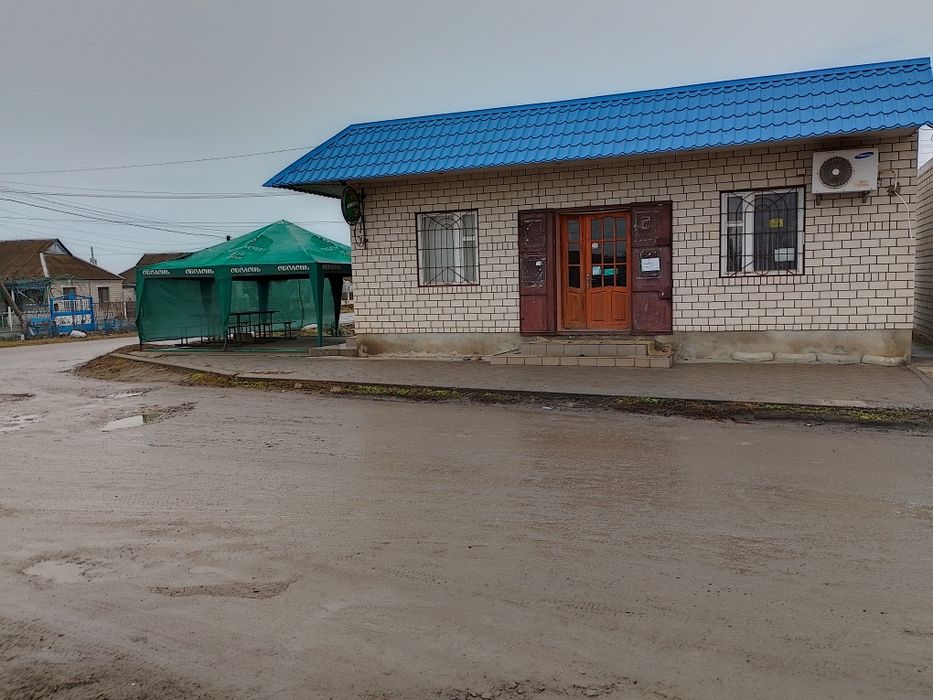 Торгове приміщення - магазин продуктовий (діючий бізнес).