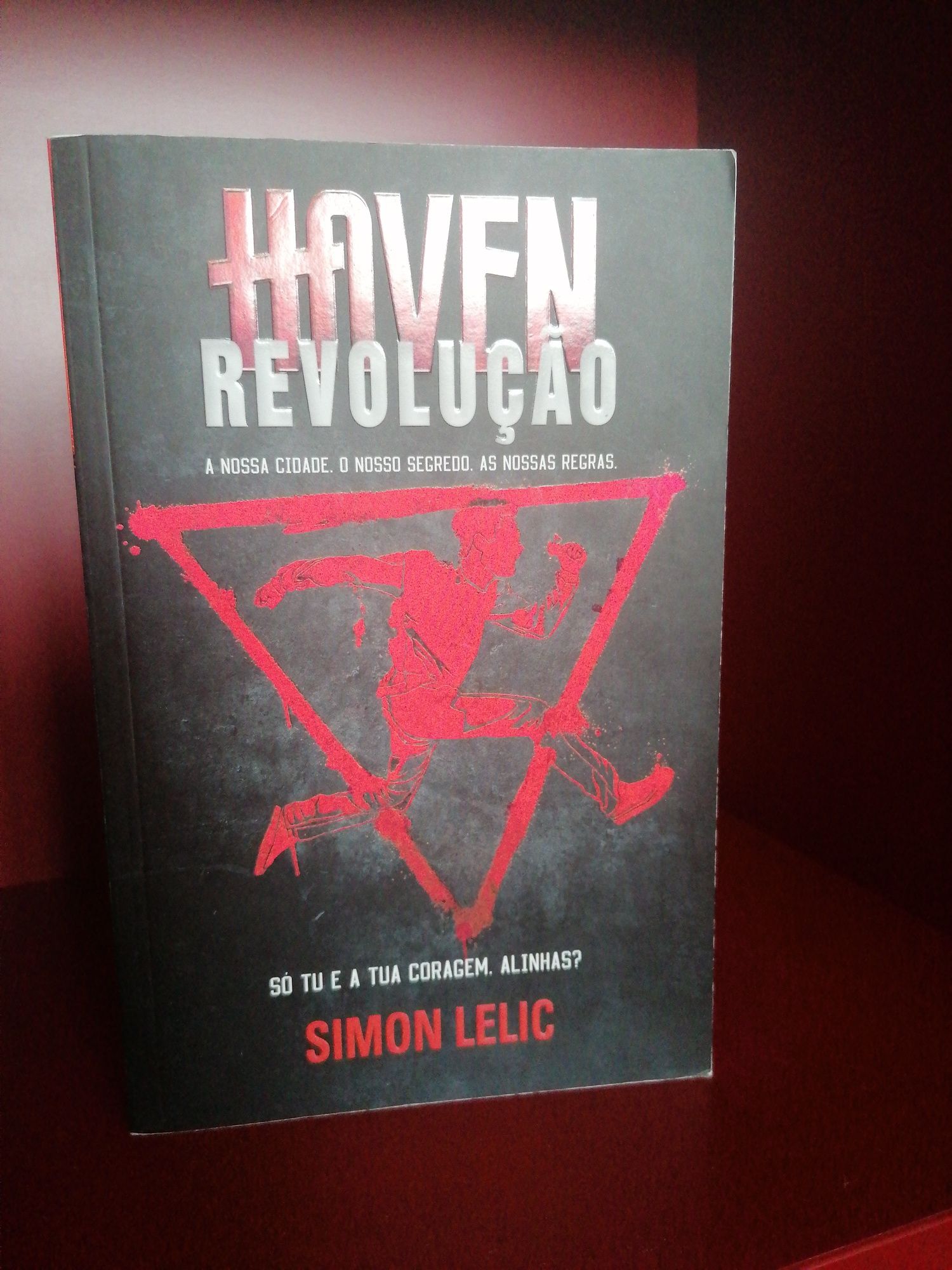 Dois livros "Haven"