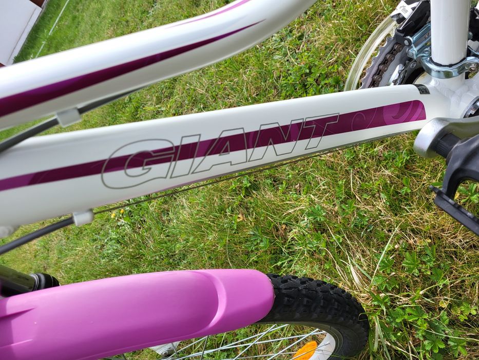 Rower giant areva koła 24, dziewczęcy, biało-różowy, stan bdb