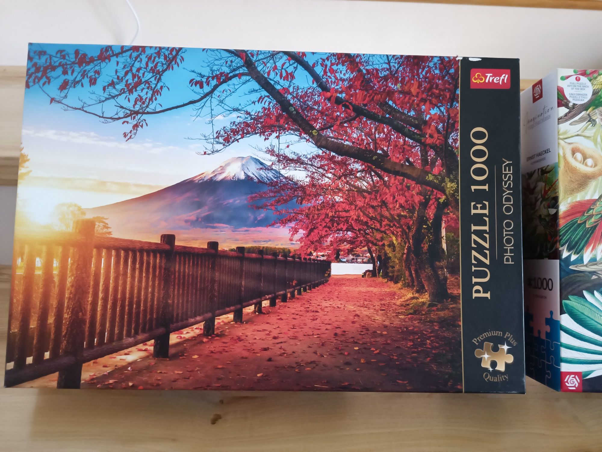 Puzzle 5x1000 trefl