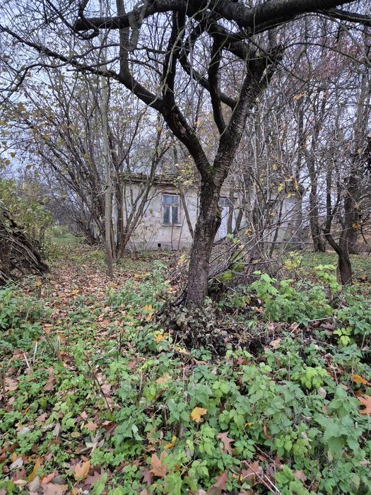 Działka budowlana Rogóźno, Wyzwolenia