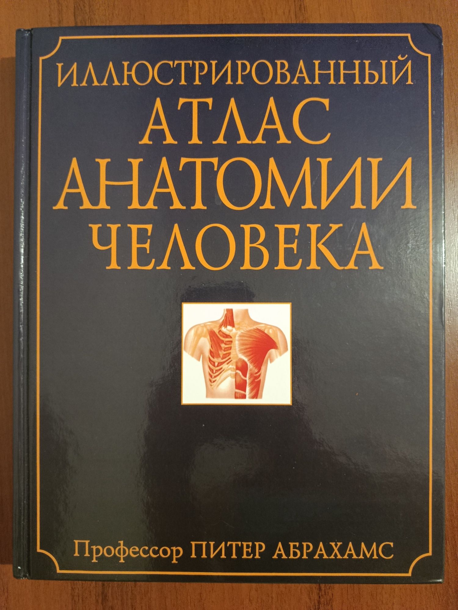 Атлас анатомии человека