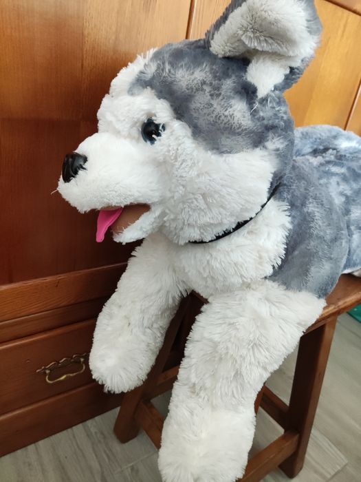Peluche cão husky