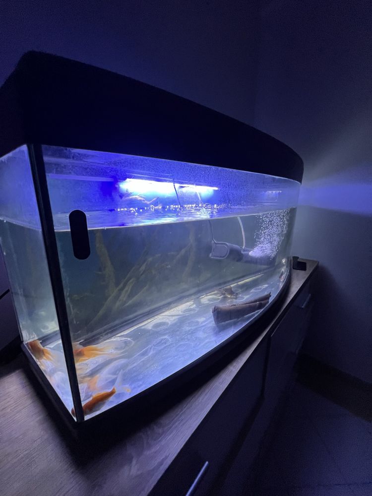 Aquario 200 litros
